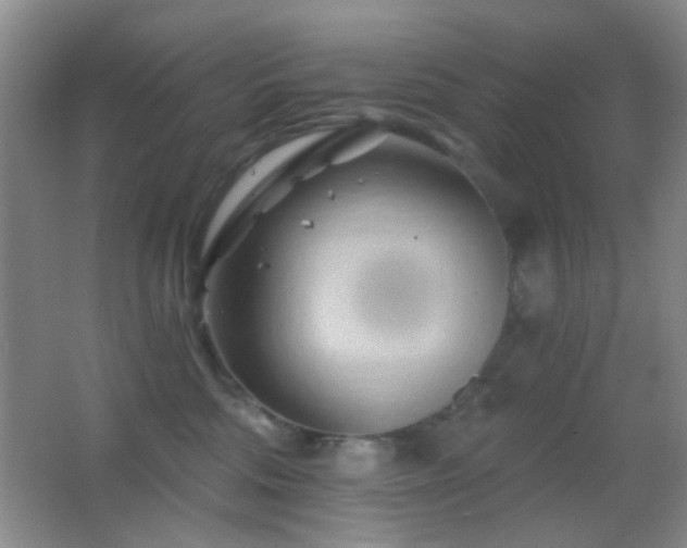 X0000062910330200601131433