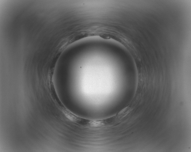 X0000062910333200601131432