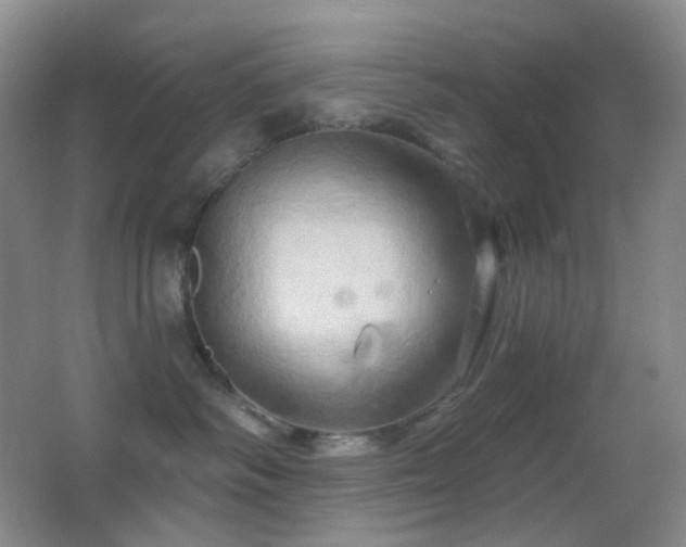 X0000062910334200601131432