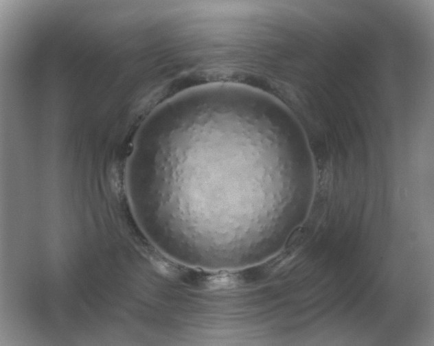 X0000062910335200601131432