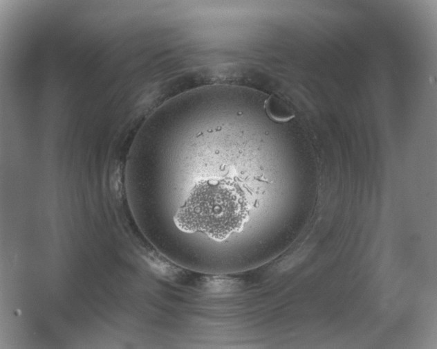 X0000062910336200601131432