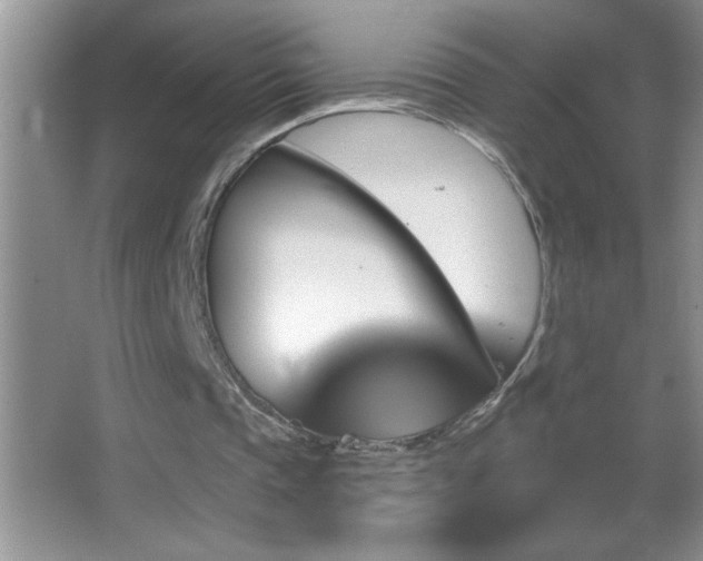 X0000062910337200601131432