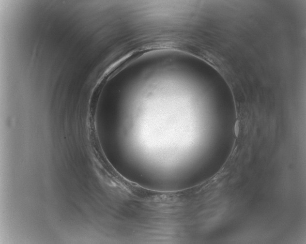 X0000062910338200601131432