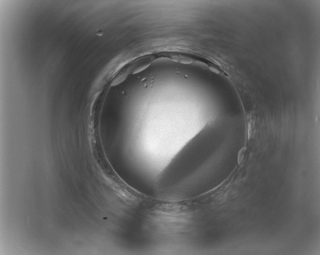 X0000062910339200601131432