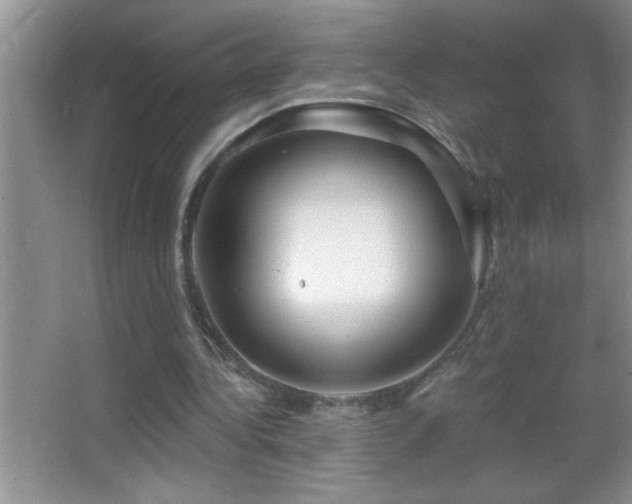 X0000062910340200601131432