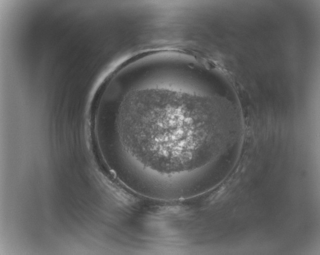 X0000062910342200601131432