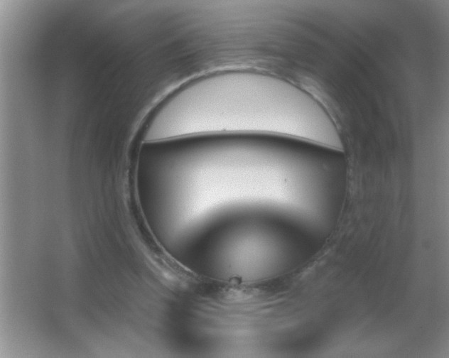 X0000062910346200601131432