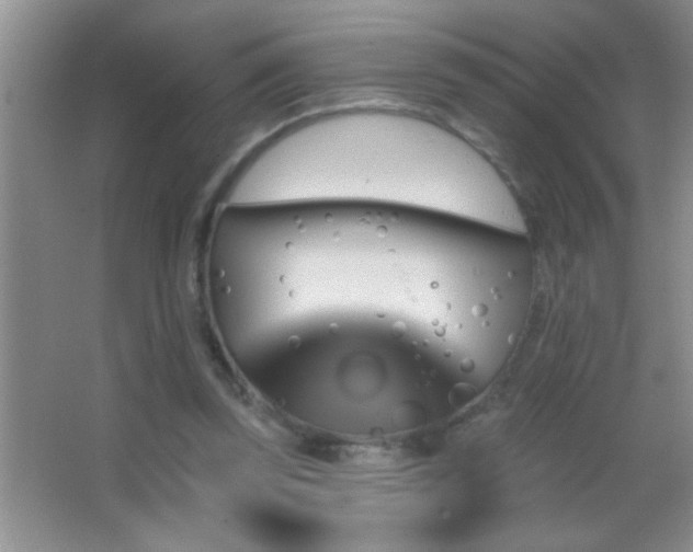 X0000062910347200601131432