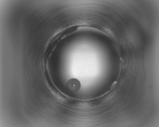 X0000062910349200601131432