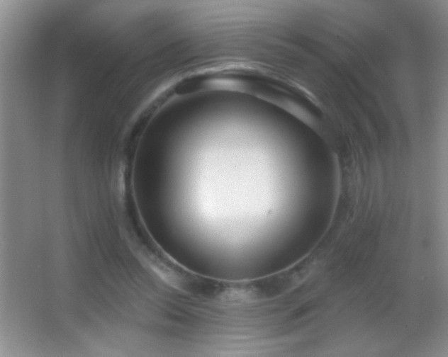 X0000062910350200601131432