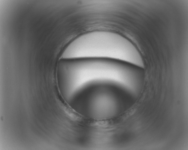 X0000062910353200601131432