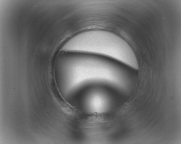 X0000062910354200601131432