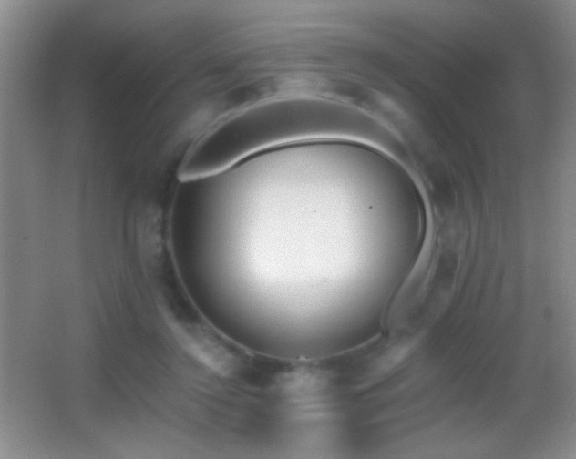 X0000062910356200601131432