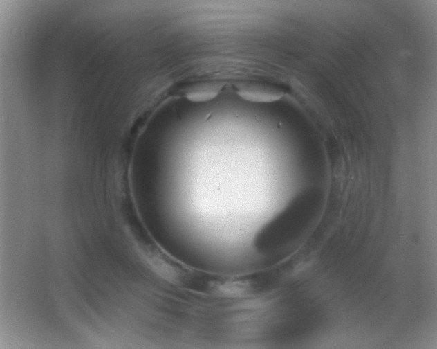 X0000062910359200601131432