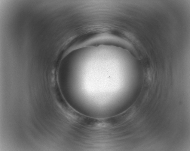 X0000062910360200601131432