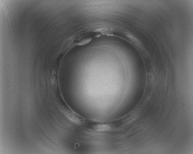 X0000062910361200601131432