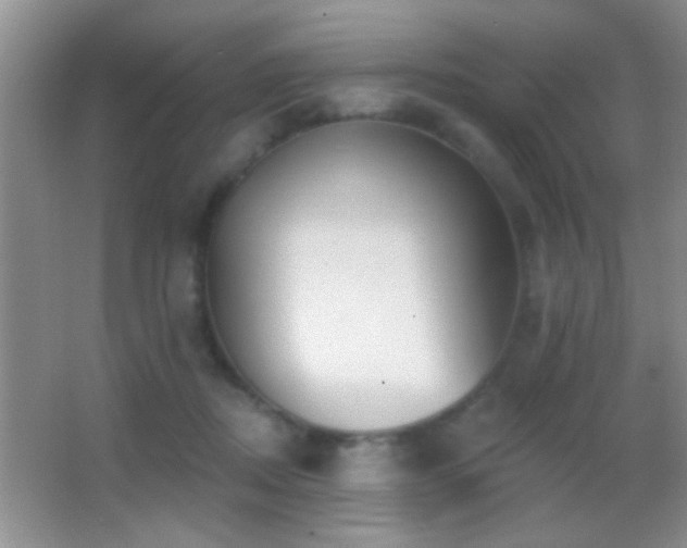 X0000062910362200601131432