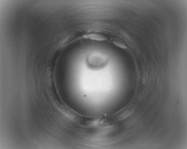 X0000062910366200601131432