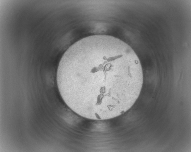 X0000062910370200601131432