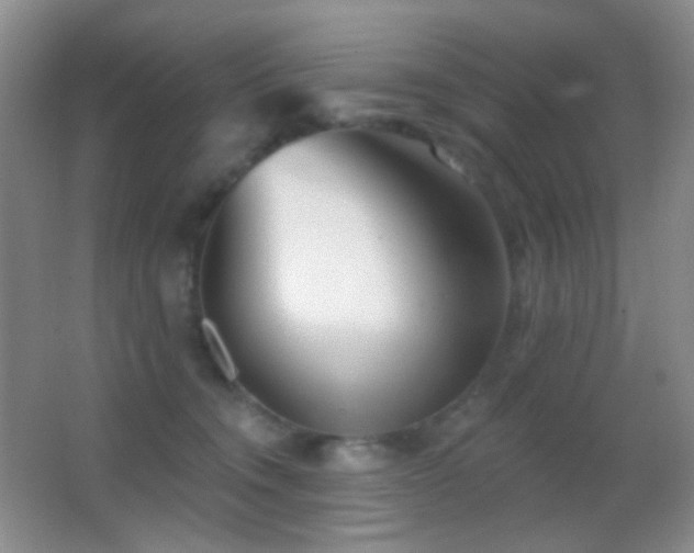 X0000062910372200601131432