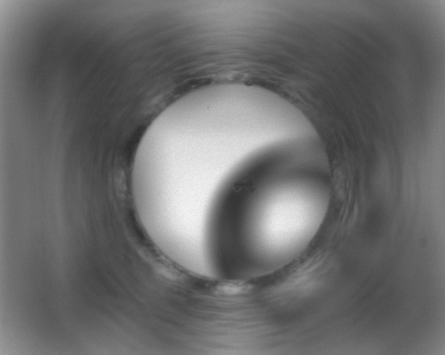 X0000062910375200601131432