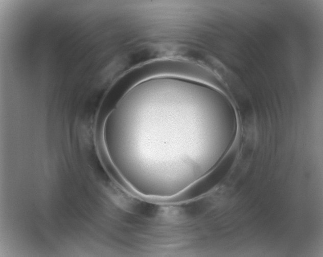 X0000062910376200601131432