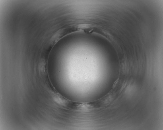 X0000062910379200601131432