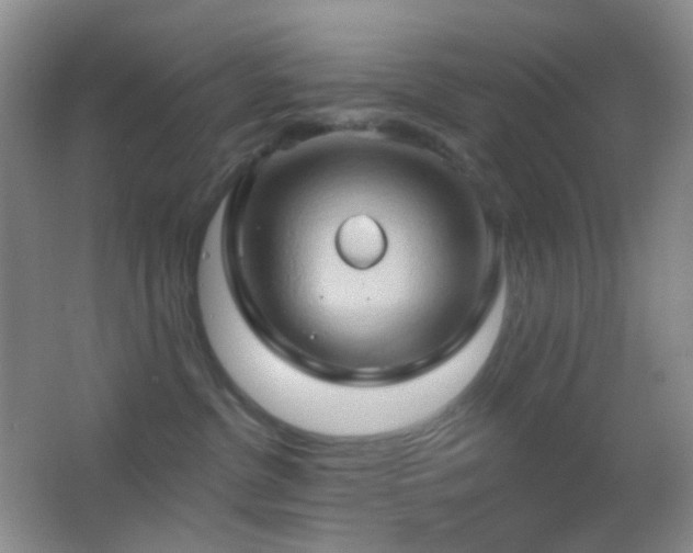 X0000062910380200601131432