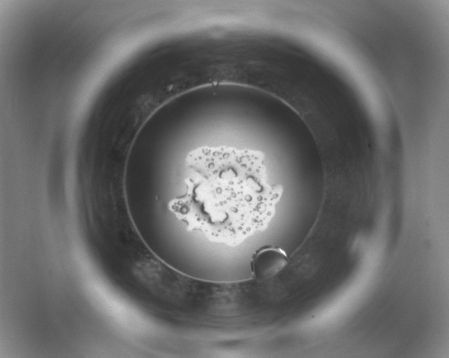 X0000062910382200601131432