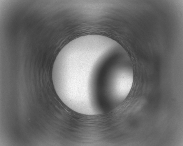 X0000062910384200601131432