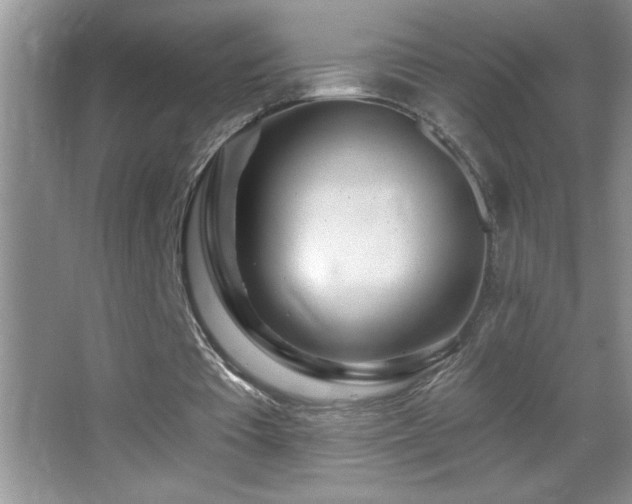 X0000062910385200601131432