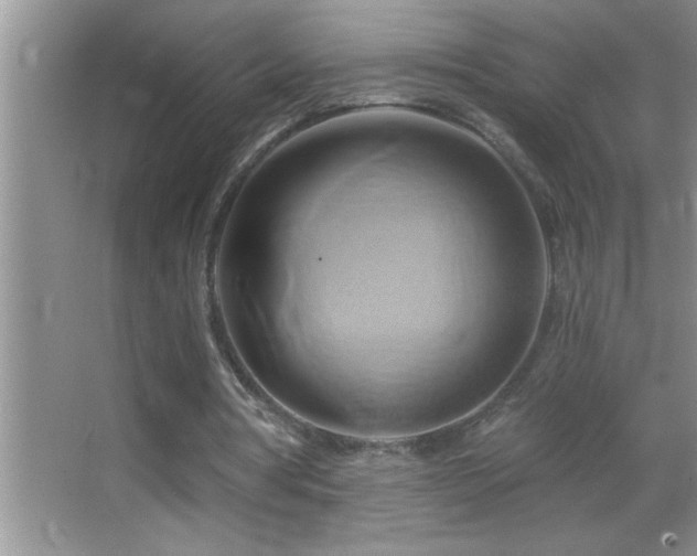 X0000062910386200601131432