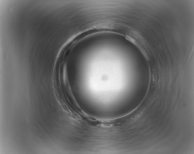 X0000062910388200601131432