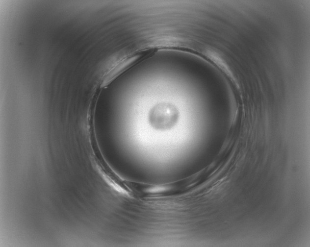 X0000062910389200601131432