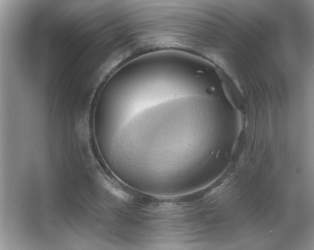 X0000062910390200601131432