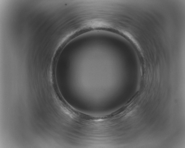 X0000062910391200601131431