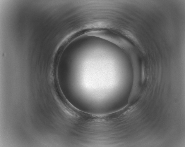 X0000062910392200601131431