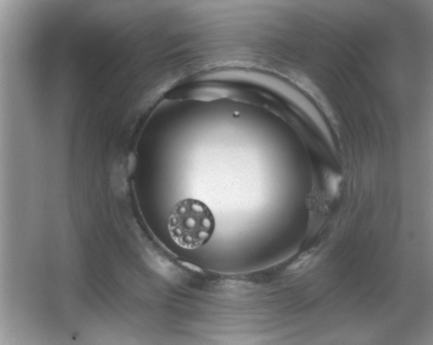 X0000062910393200601131431