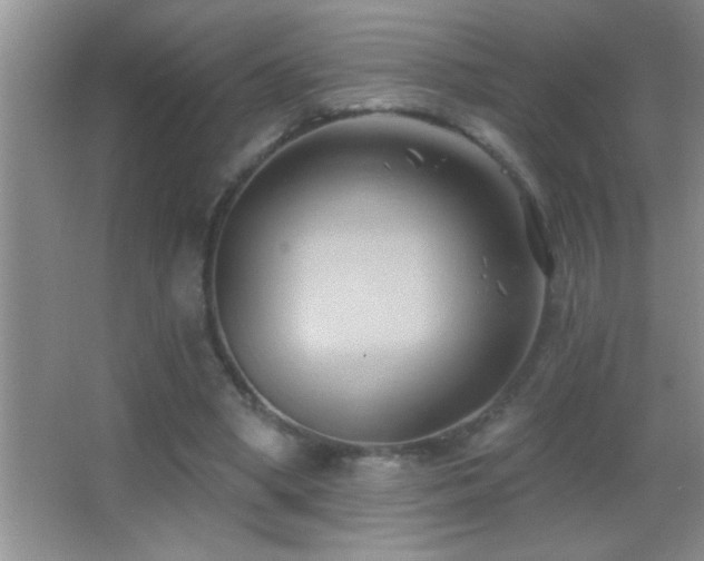 X0000062910394200601131431