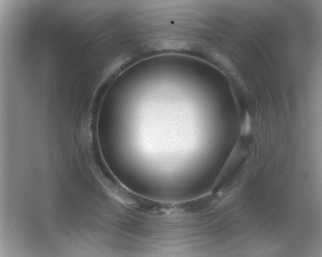 X0000062910395200601131431