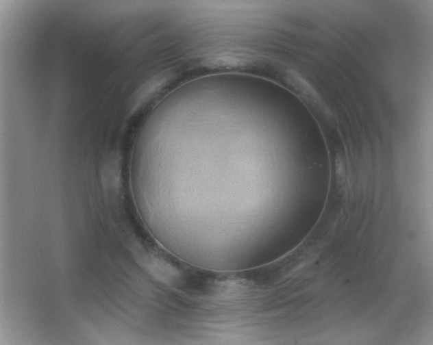 X0000062910396200601131431