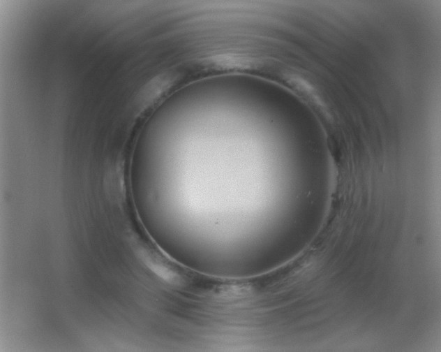 X0000062910398200601131431