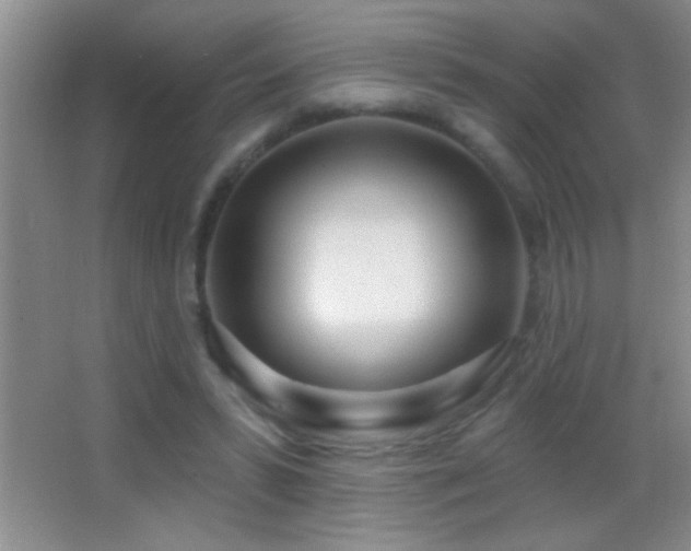 X0000062910399200601131431