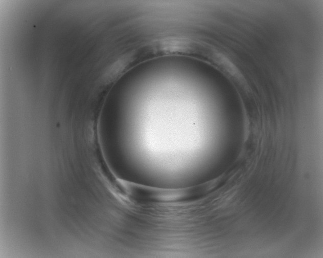 X0000062910401200601131431