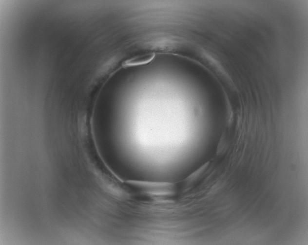 X0000062910403200601131431