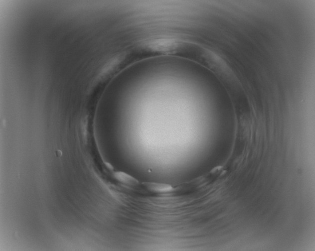 X0000062910404200601131431