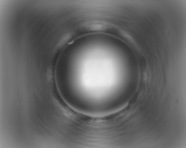 X0000062910407200601131431