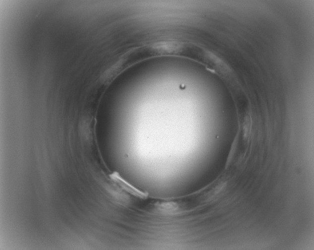 X0000062910409200601131431