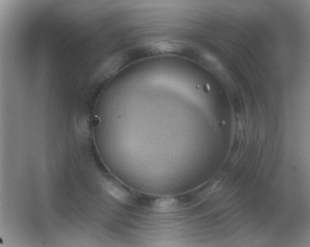 X0000062910410200601131431