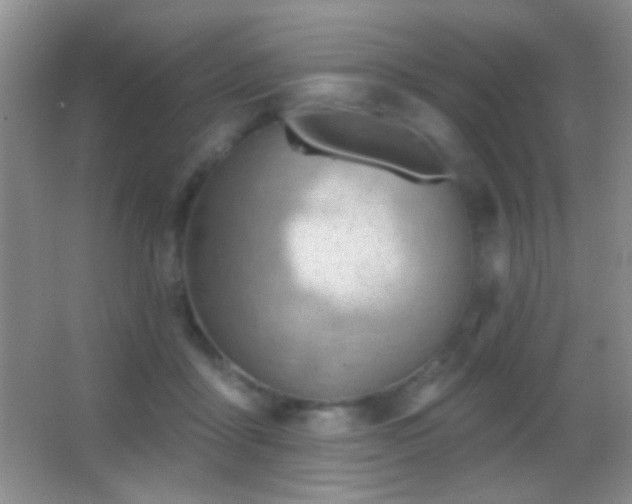 X0000062910411200601131431